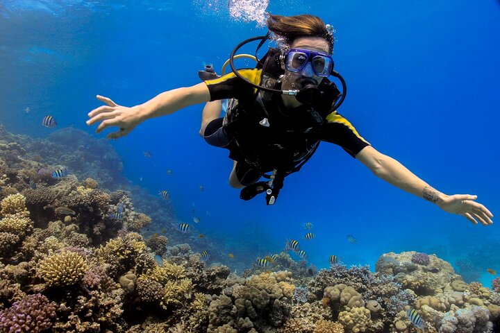 Diving Image 2