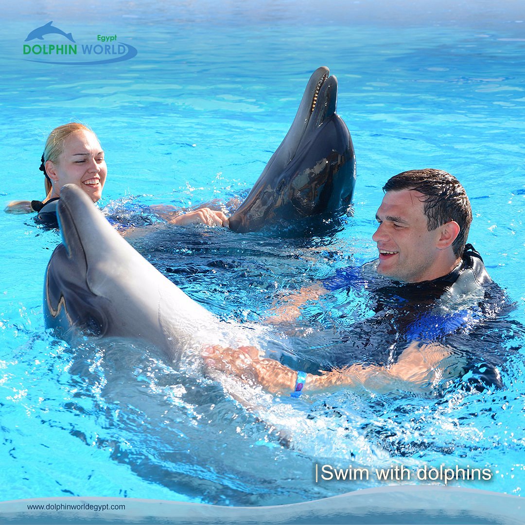 Dolphin House Image 3